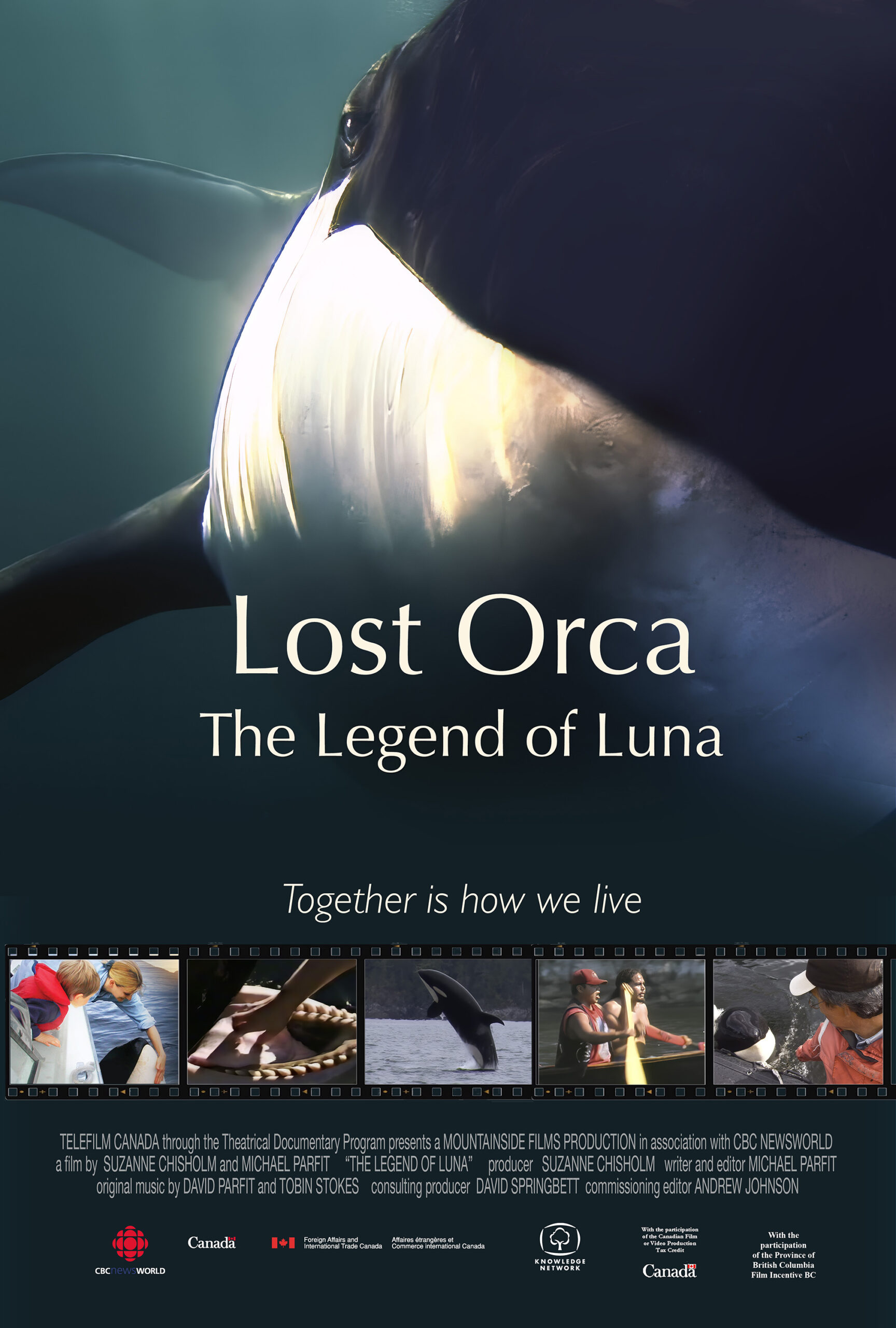 Lost Orca 2 -250203- Poster for website@0.5x
